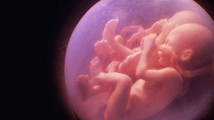 Jika ada anak kembar dalam keluarga, akankah kemungkinan kehamilan kembar meningkat, akankah generasi menjadi kuda? Kepada siapa kehamilan kembar bergantung?