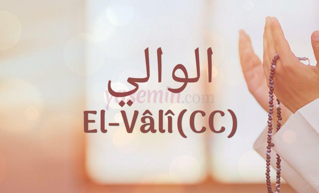 Apa arti Al-Vali (c.c) dari Esma-ul Husna? Apa keutamaan al-Vali (c.c)?