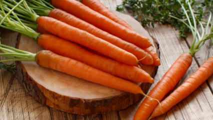 Bagaimana cara menanam wortel dalam pot di rumah? Metode penanaman wortel dalam pot