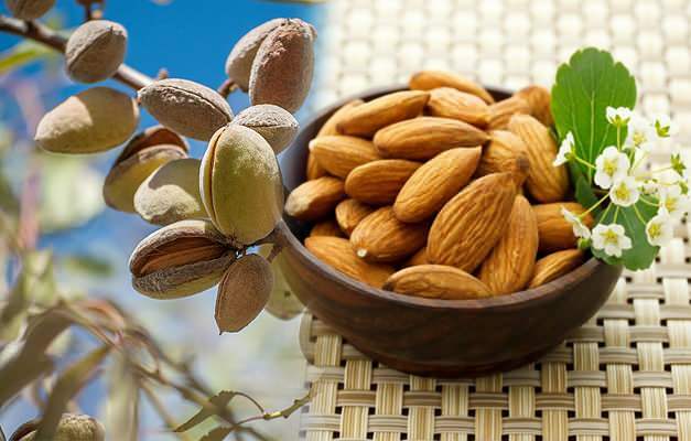 Berapa banyak kalori almond? Apakah almond mentah atau almond panggang akan melemah? Melangsingkan dengan almond