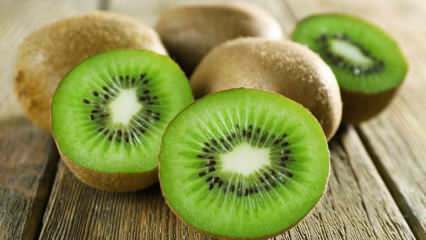 Apa manfaat kiwi? Bagaimana teh kiwi dibuat? Untuk penyakit apa kiwi baik?