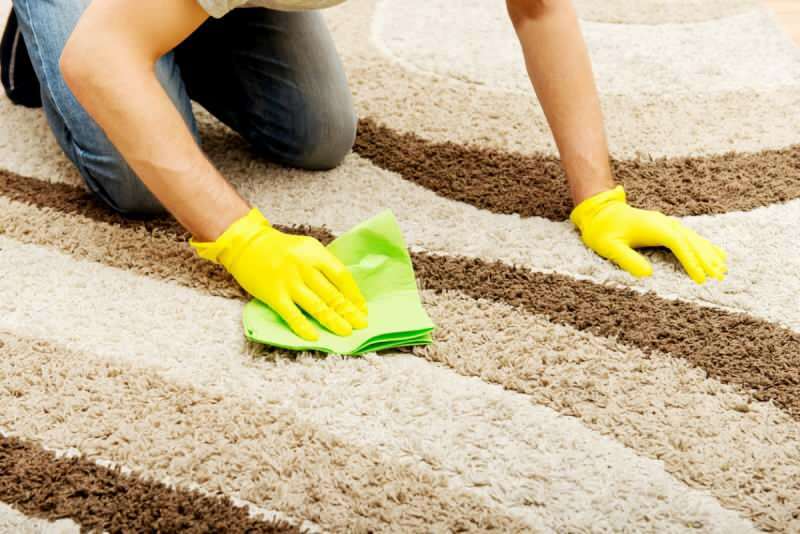 Bagaimana menghilangkan noda muntah di karpet? Metode mudah untuk menghilangkan noda muntah