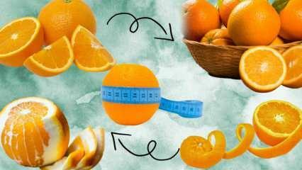 Berapa banyak kalori dalam jeruk? Berapa gram 1 buah jeruk ukuran sedang? Apakah makan jeruk membuat berat badan bertambah?