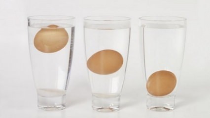 Bagaimana cara memahami telur basi?