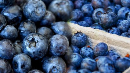 Apa manfaat blueberry bagi kulit? Masker perawatan kulit yang dibuat dengan blueberry