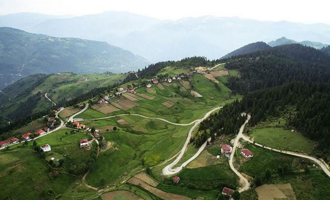 Di mana Dataran Tinggi Çambaşı berada? Bagaimana menuju ke Dataran Tinggi Çambaşı?