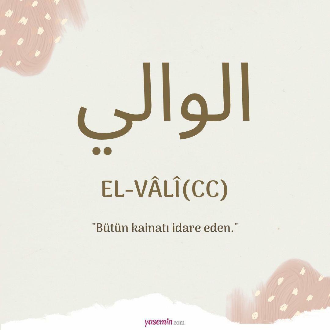 Apa yang dimaksud dengan al-Vali (c.c)?