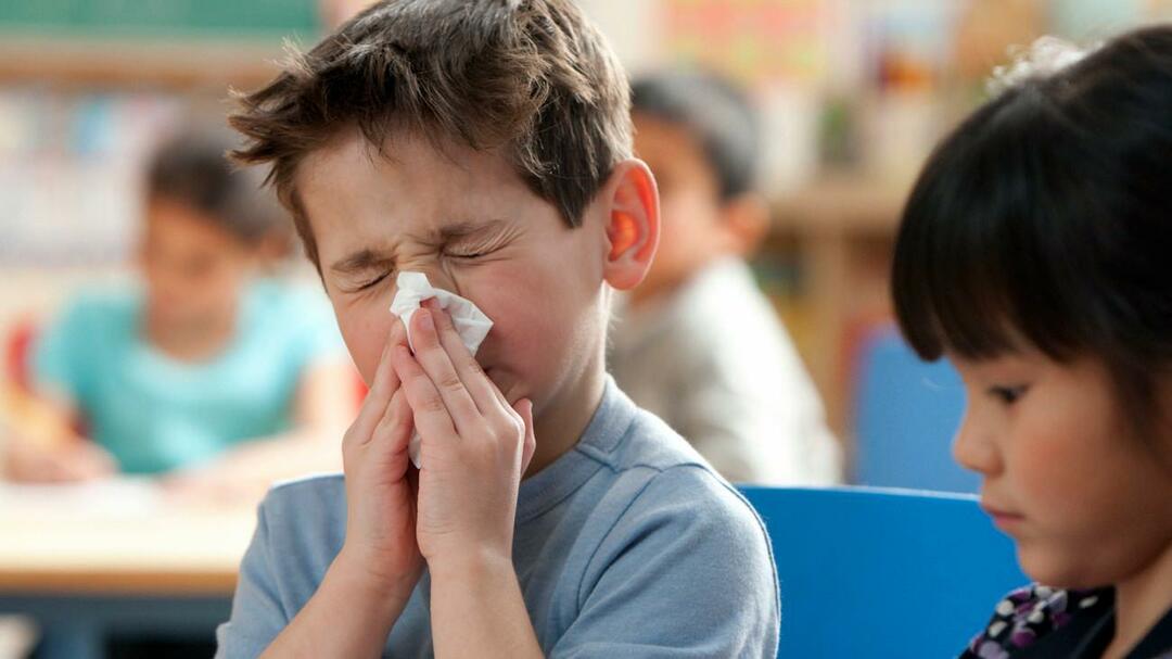 flu musiman