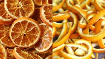 Bagaimana jeruk dikeringkan? Metode pengeringan sayur dan buah di rumah