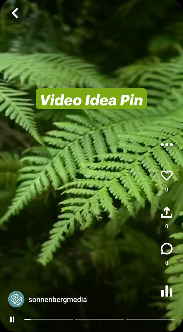 apa-apa-pinterest-idea-pins-sonnenbergmedia-video-pin-example-1