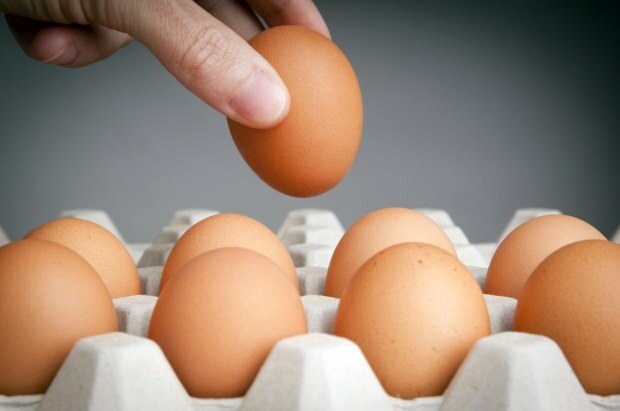 Metode penyimpanan telur