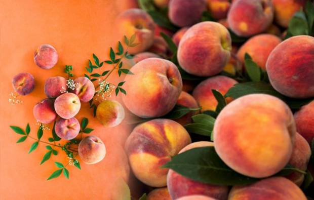 Cara membuat diet buah persik