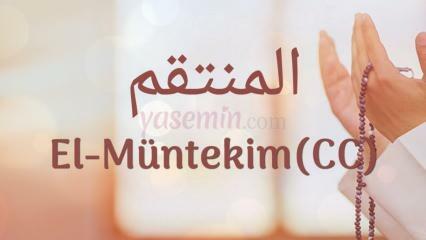 Apa yang dimaksud dengan Al-Muntakim (c.c)? Apa keutamaan Al-Muntakim (c.c)?