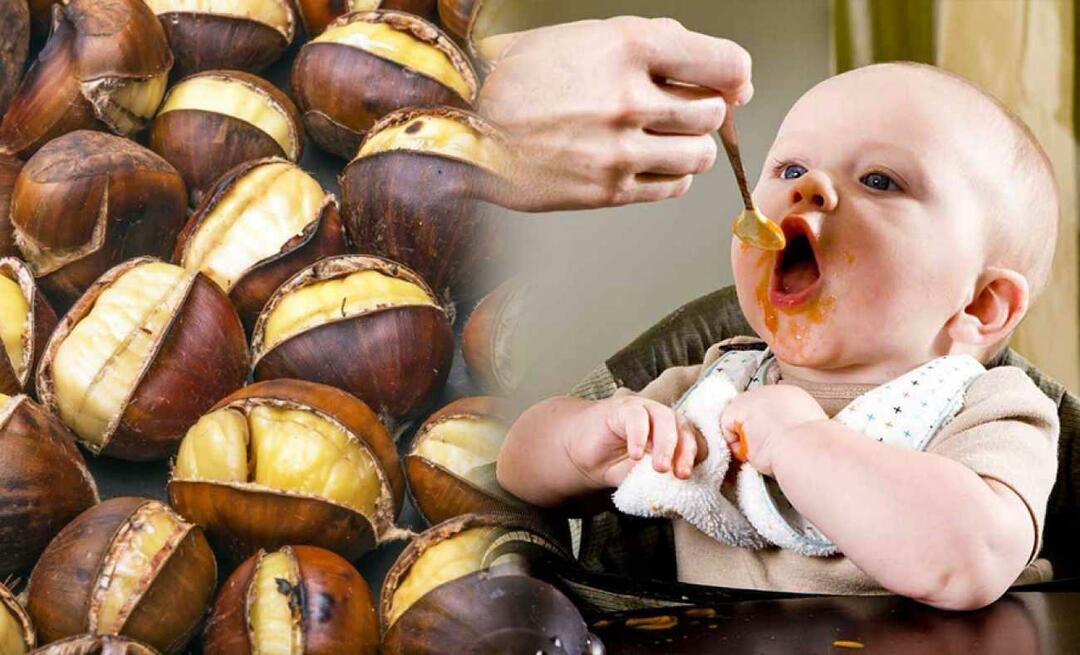 Bisakah bayi makan chestnut? Bagaimana cara membuat puding kastanye?