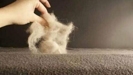 Trik membersihkan karpet 