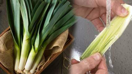 Bagaimana cara membersihkan daun bawang, bagaimana cara mengekstrak daun bawang? Tips membersihkan daun bawang