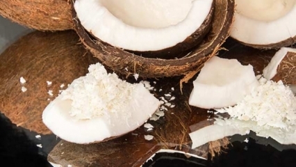 Bagaimana cara memotong kelapa yang paling praktis?