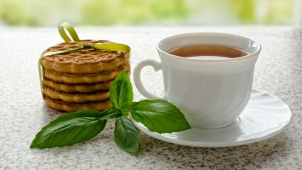Apa manfaat kemangi? Bagaimana cara membuat teh basil?