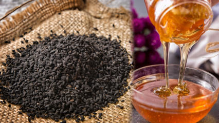Apa manfaat Nigella? Apa yang dilakukan minyak biji hitam? Jika Anda mencampur jintan hitam dalam madu dan memakannya ...