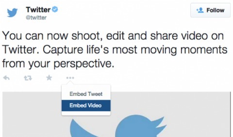 video twitter embeds