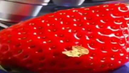 Video stroberi yang menandai media sosial! Anda tidak akan memasukkan strawberry ke mulut lagi ...