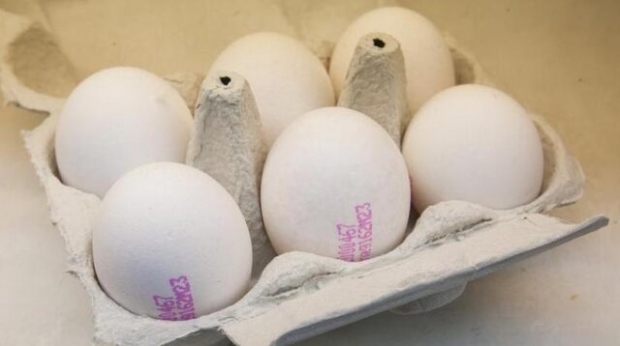 Bagaimana telur organik dipahami? Apa arti kode telur?
