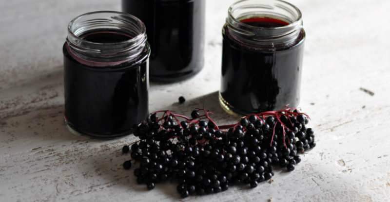sirup elderberry efektif dalam menghilangkan dahak