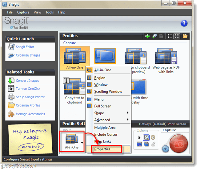 properti input profil dari snagit 10