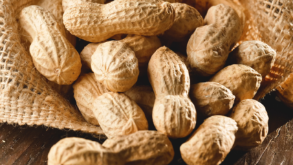 Apa manfaat kacang tanah? Untuk penyakit apa kacang bagus?