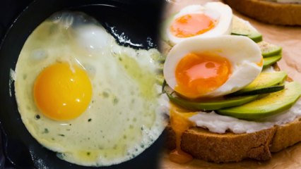 Minyak apa yang bermanfaat bagi kesehatan kita? Jika Anda mengkonsumsi telur yang kurang matang ...