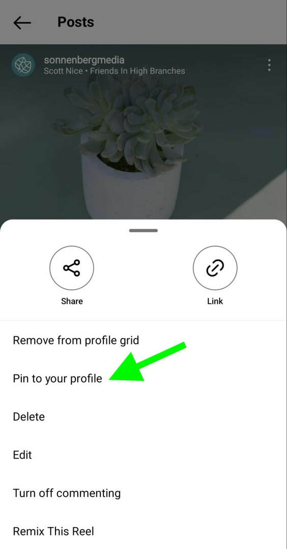 how-to-instagram-pin-reels-profile-grid-sonnenbergmedia-langkah-1