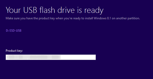 flash drive siap