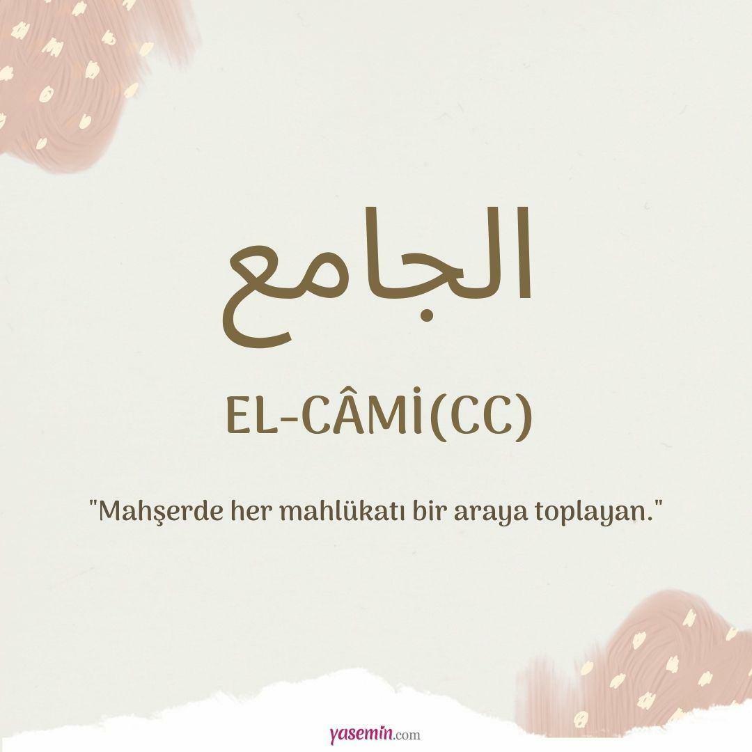 Apa yang dimaksud dengan Al-Cami (c.c)?