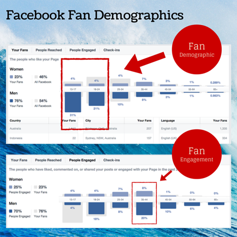 bagan demografi penggemar facebook