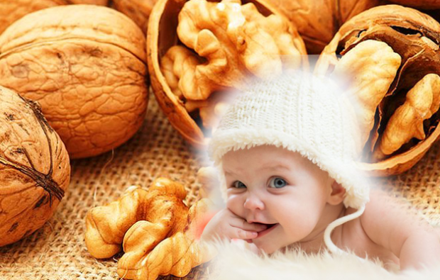 walnut bermanfaat bagi bayi