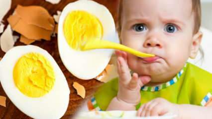 Bagaimana seharusnya kuning telur diberikan kepada bayi? Berapa bulan untuk memulai telur? Resep telur bayi