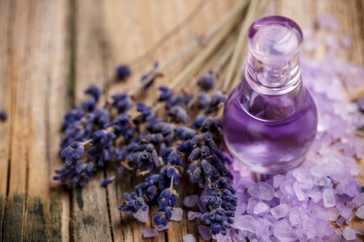 Mereka yang tanpa tidur mencium bau minyak lavender