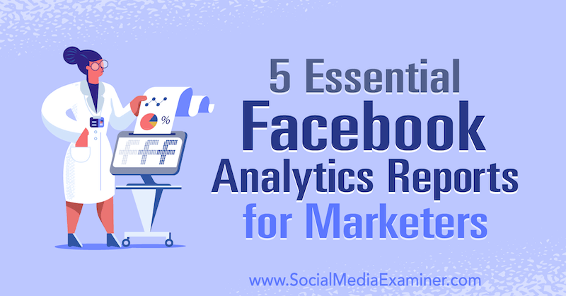 5 Laporan Penting Analisis Facebook untuk Pemasar oleh Mariia Bocheva di Penguji Media Sosial.