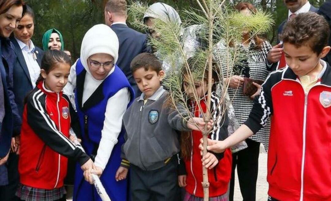 Postingan Hari Penghijauan Nasional dari Ibu Negara Erdoğan