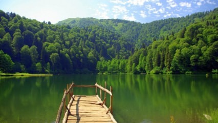 Trabzon akan merevitalisasi pariwisata dengan kebun lavender!