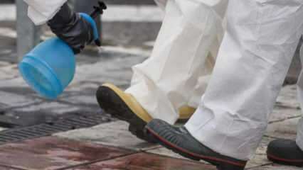 Bagaimana cara melakukan pembersihan sepatu secara menyeluruh? Bagaimana bagian bawah sepatu didesinfeksi?