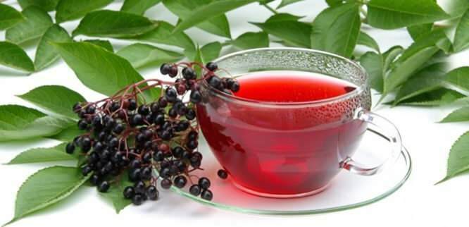 Teh elderberry memberikan manfaat luar biasa bagi sistem kekebalan tubuh