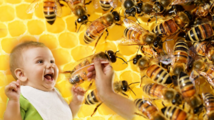 Bagaimana seharusnya madu diberikan kepada bayi? Apa yang tidak boleh diberikan sebelum usia 1