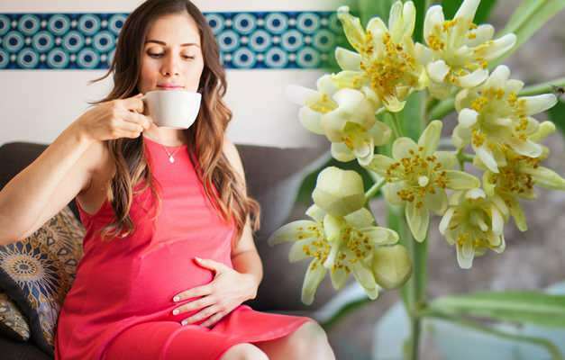 Apakah teh herbal diminum selama kehamilan? Teh herbal berisiko selama kehamilan