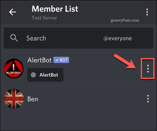 Mengakses daftar opsi untuk anggota server Discord