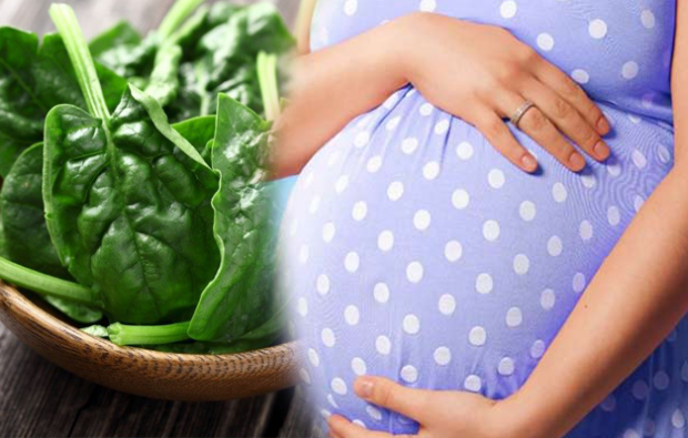 konsumsi asam folat pada kehamilan
