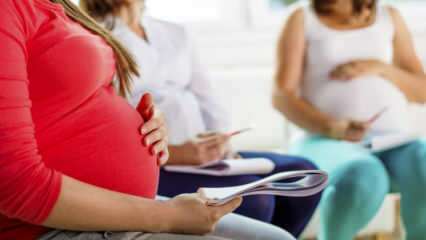 Proyek baru untuk wanita hamil dari Kementerian Kesehatan! Video Distance Pregnant Education sedang daring ...