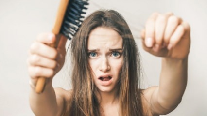 Makanan apa saja yang mencegah rambut rontok?