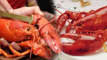 Bagaimana cara membersihkan lobster? Teknik memasak Lobster termudah! Apa manfaat lobster?