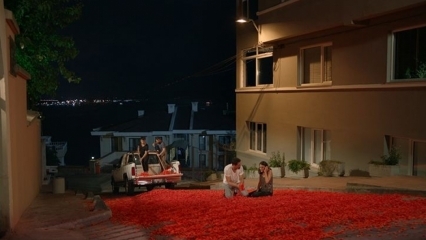 Proposal pernikahan Onur Tuna dengan 100 ribu daun mawar!